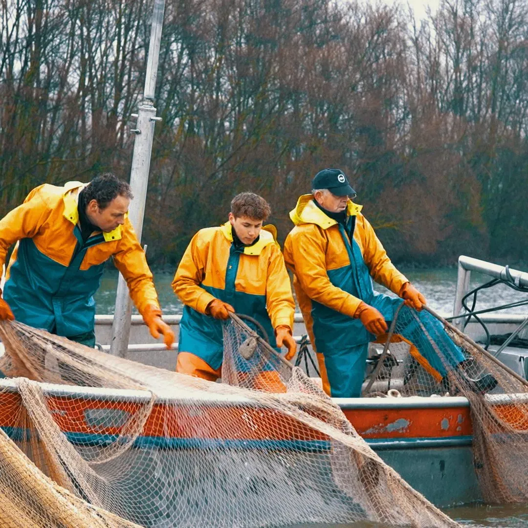 Beeld bij de case Webshop voor Komanvis